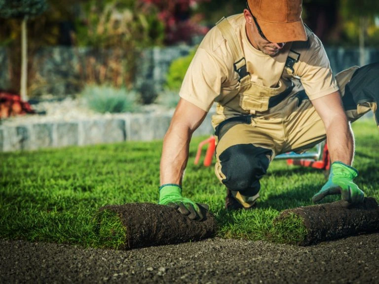hardscape contractor