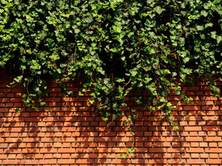 brick garden wall