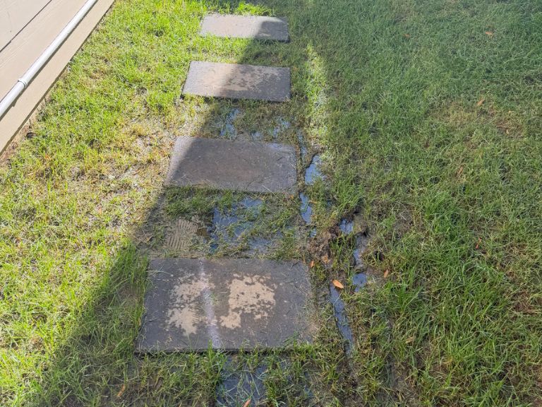 standing water problem in backyard before french drain installation in huntersville, nc