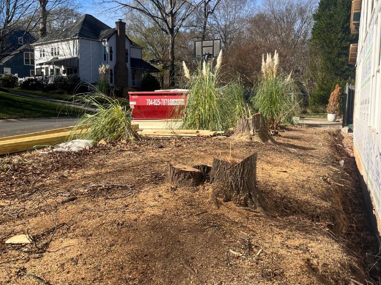 cut tree stumps and cleared foundation area before grading work in matthews, nc by clt pros