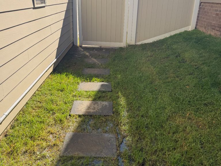 water puddling in low-lying yard area before french drain installation in huntersville, nc