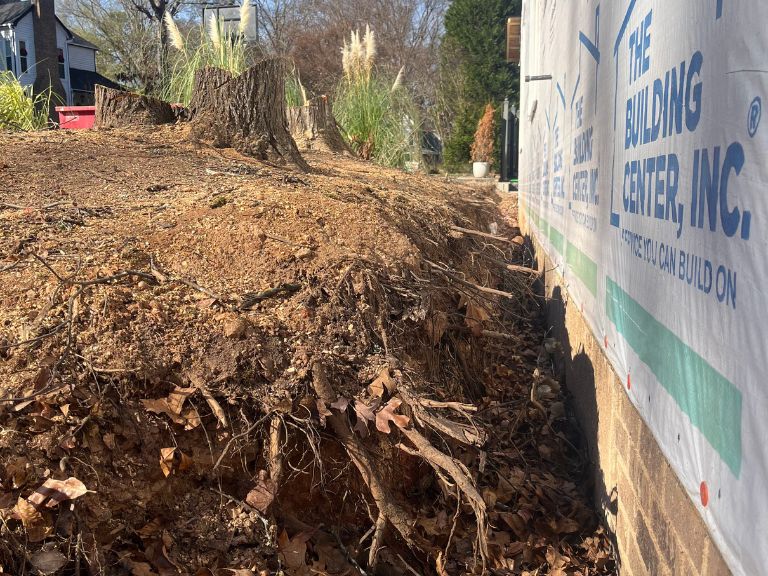 exposed tree roots and eroded soil against foundation wall before grading in matthews, nc