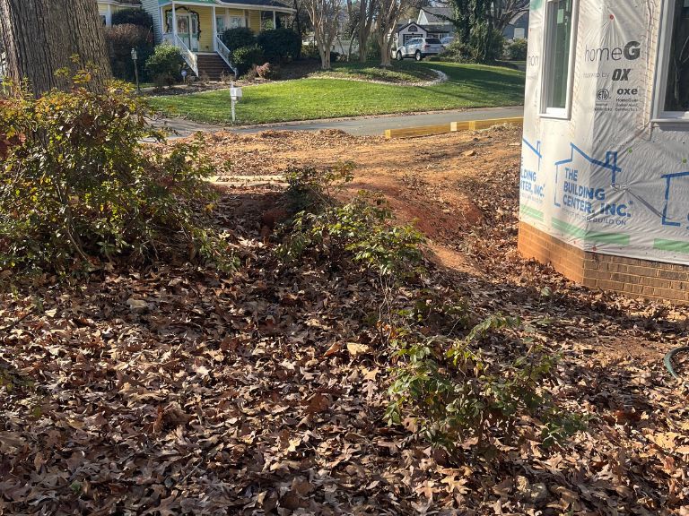 overgrown bushes and leaf litter along foundation before yard grading in matthews, nc