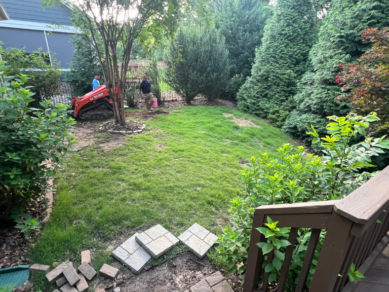 shaded backyard with thin grass beside the deck before artificial turf installation in tega cay, sc