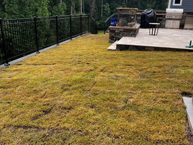 thin, browning bermuda grass backyard before replacement with outdoor kitchen and patio visible in background — waxhaw nc