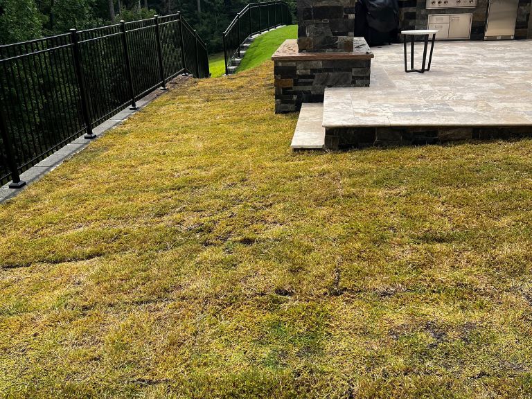second angle of browning bermuda grass backyard adjacent to stone fire pit and paver patio in waxhaw nc before sod replacement