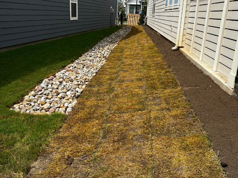 bermuda grass removal in progress with dead sod cleared and river rock drainage channel exposed along waxhaw nc home